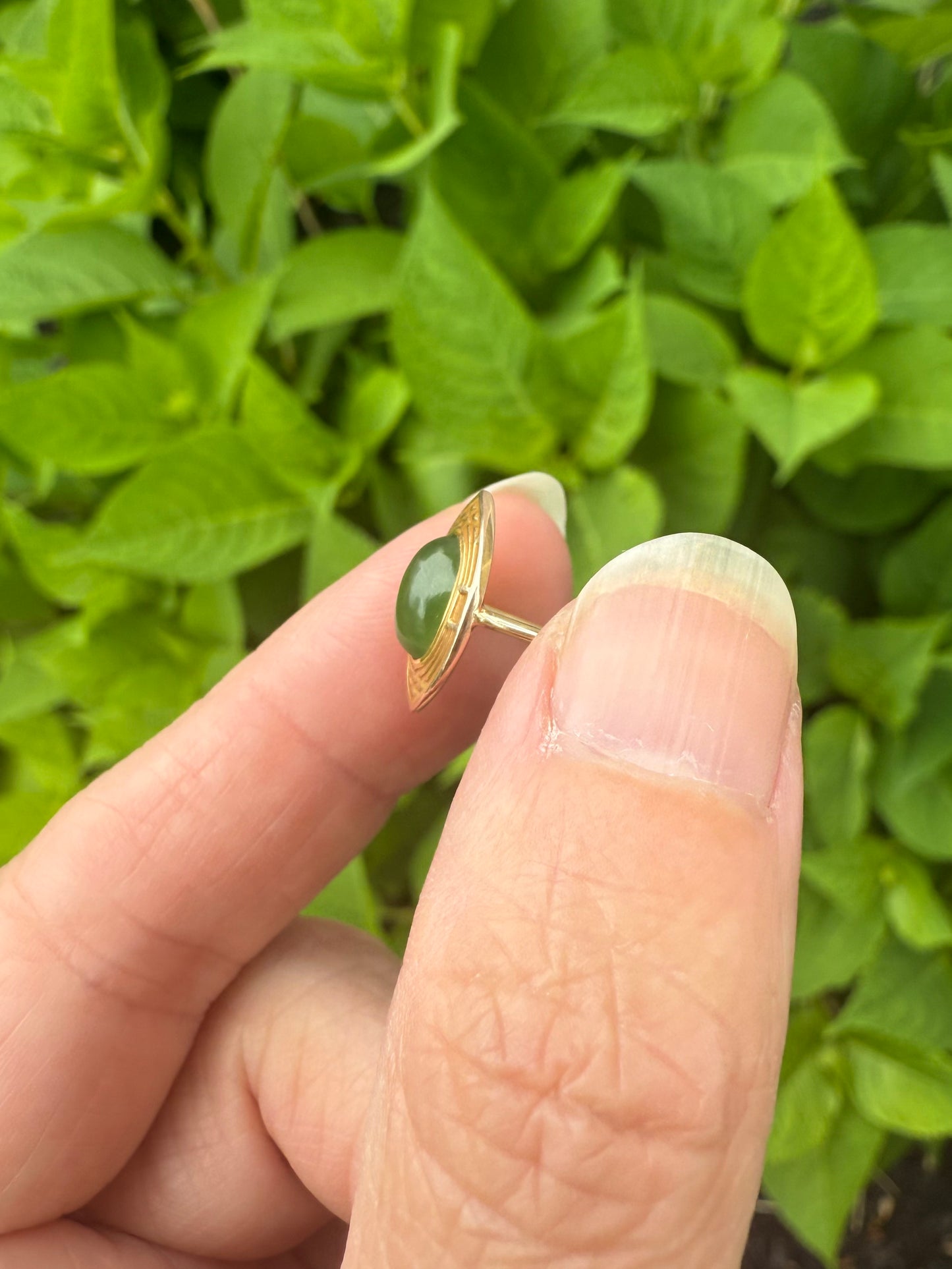 Antique 14k Yellow Gold Jade Stick Pin RIng