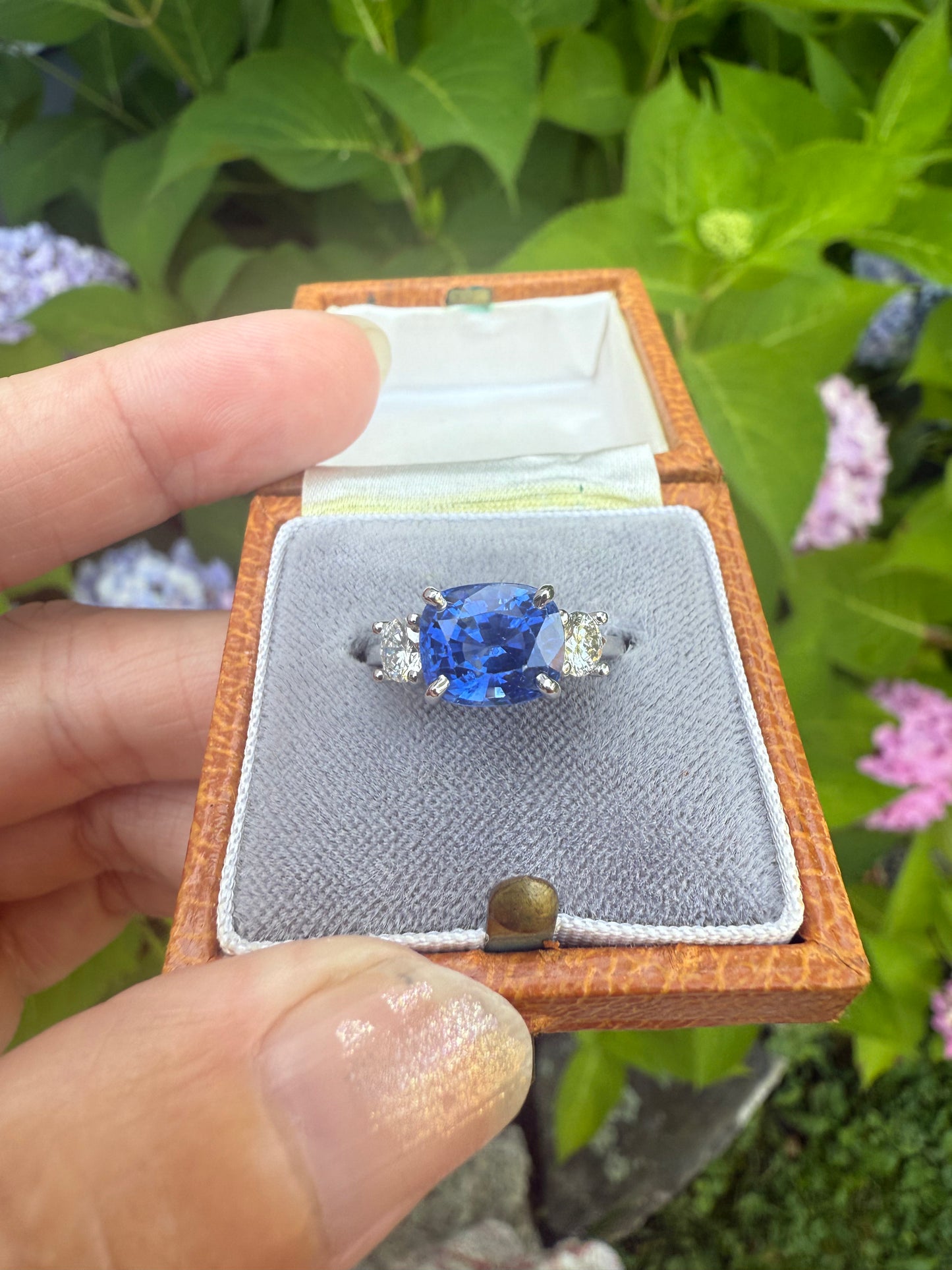 14k White Gold Sapphire and Diamond Ring