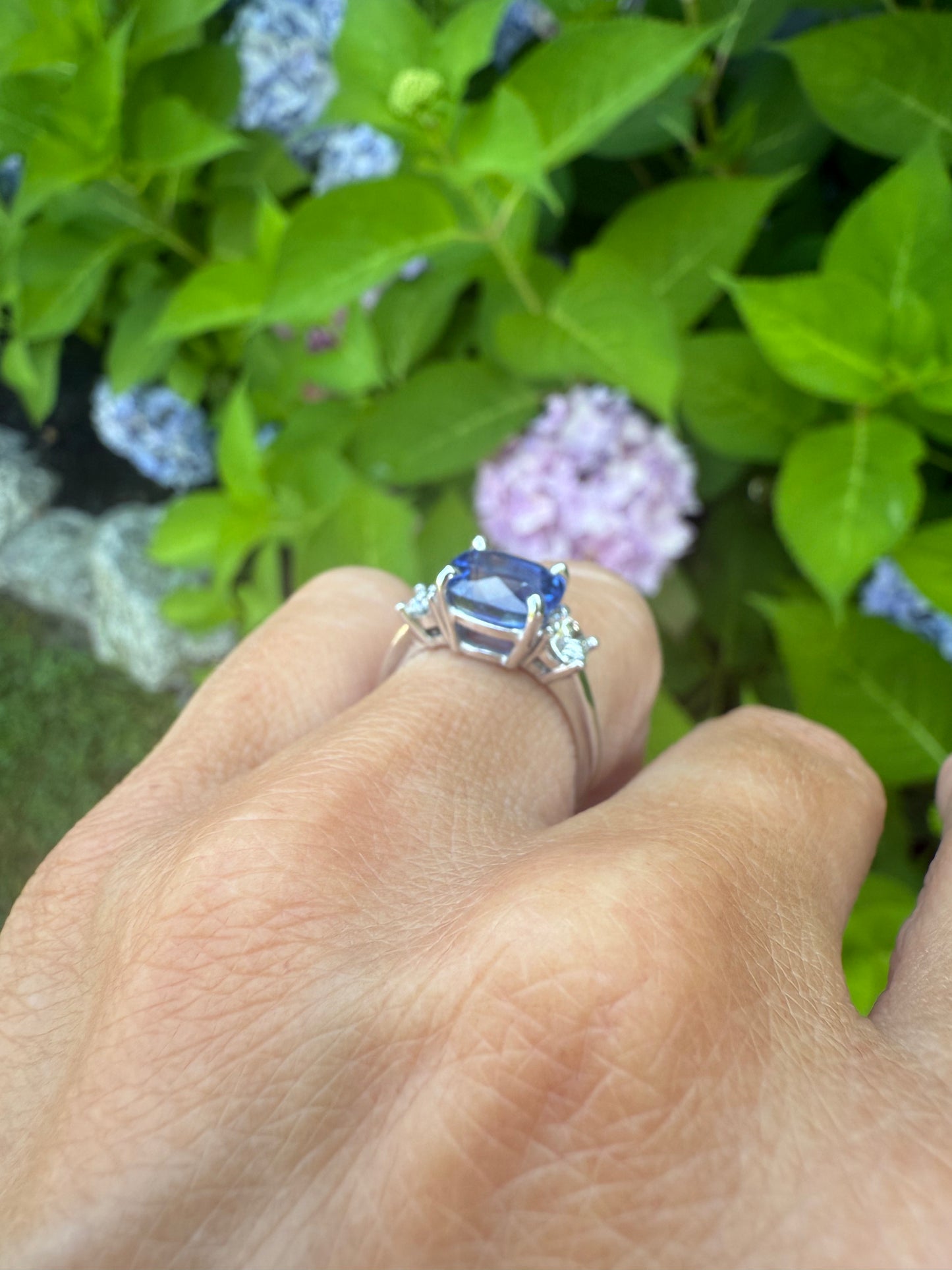 14k White Gold Sapphire and Diamond Ring